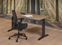 Table de bureau Double-T 120 x 80cm